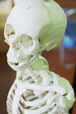 最新2025年版：港北区で選ぶべき歯医者トップガイドとその特徴