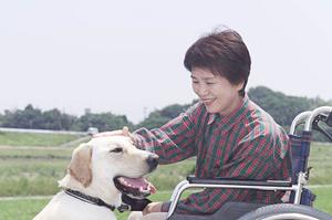 虎ノ門周辺の歯医者を徹底比較!選び方のポイントと口コミ評判を解説