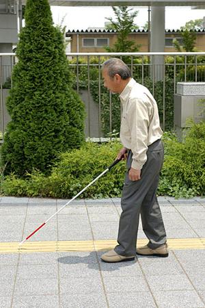 【2025年最新】松戸市の循環器内科で最も信頼できるクリニック徹底ガイド