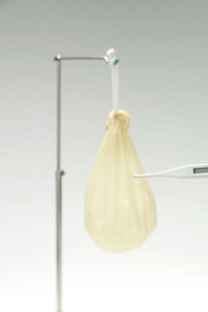 福島に歯科医院はたくさんある傾向