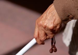 安心して通える台東区の婦人科:女性の健康と出産を支える信頼の医療情報