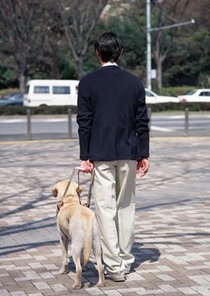鹿児島市で乳腺の健康を守る!最新の診断と治療法を徹底解説【2026年最新版】