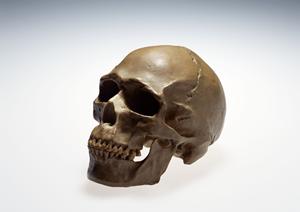 錦糸町の歯医者がおすすめする!歯の矯正、虫歯治療、ホワイトニングのポイント