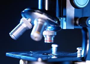 内科医をきちんと大林町で把握しよう