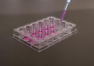 新栄でおすすめできる小児歯科とは?