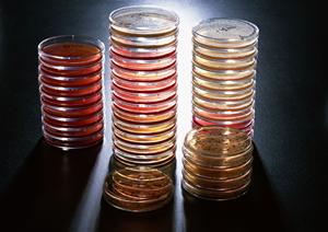 有名な大阪のクリニックで乳房再建治療