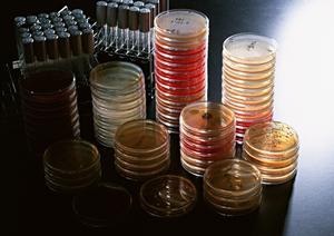 福岡市で実績の豊富な歯医者を探すなら